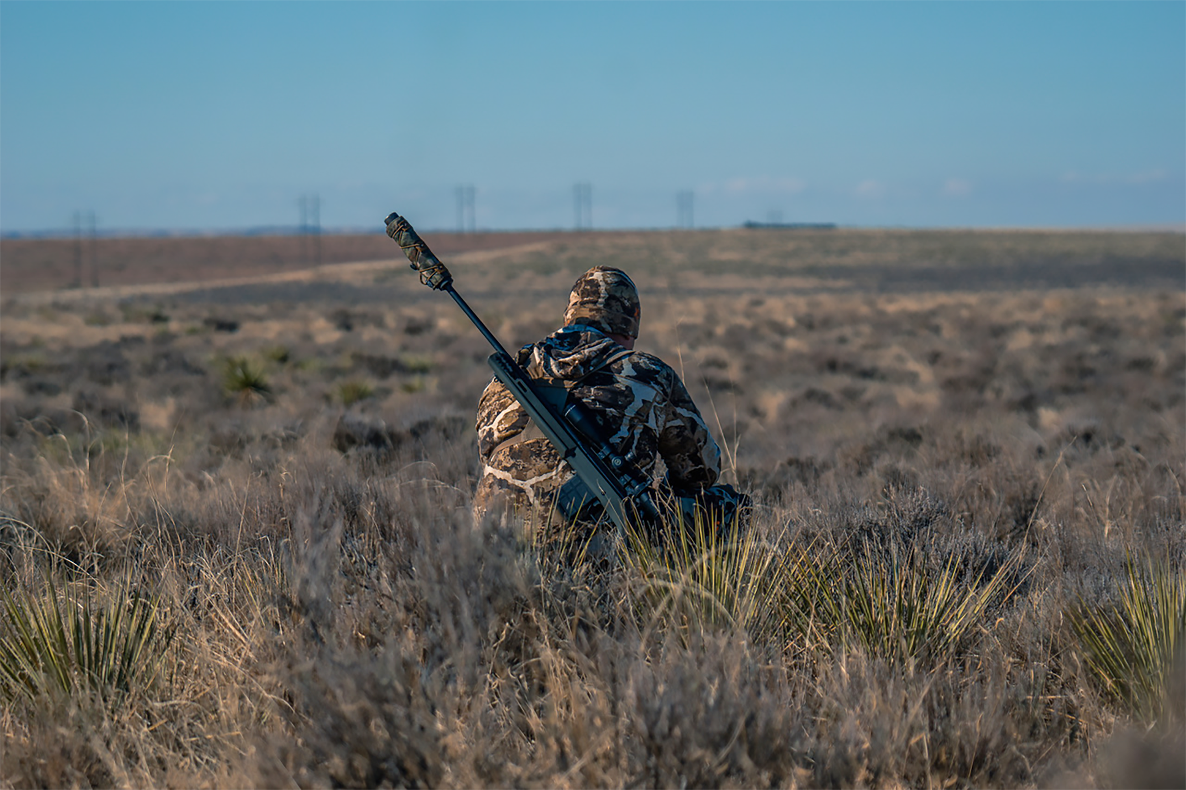 Coyote Hunting